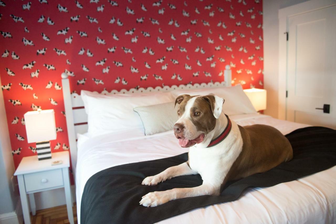 Bed & Breakfast Paws On Pelham (adults Only) Torre di Newport
