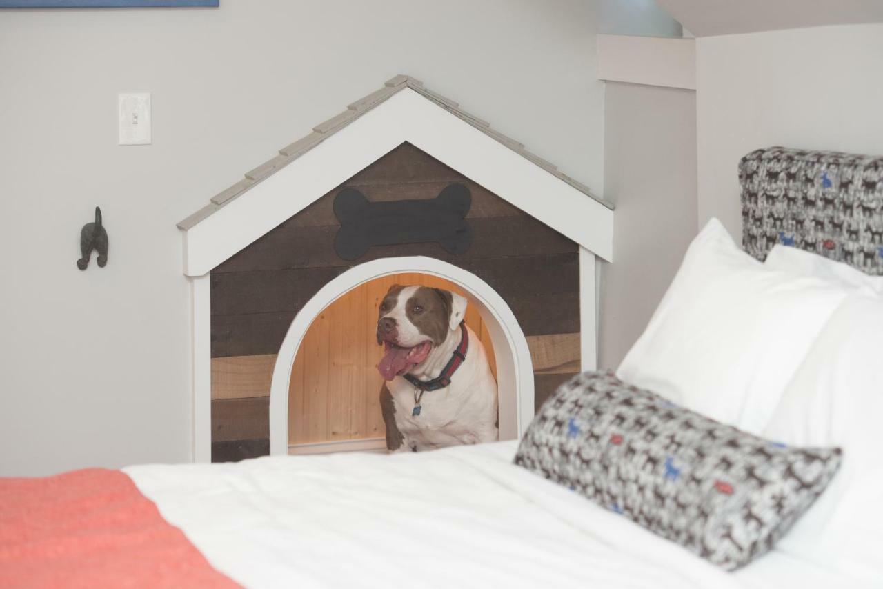 Paws On Pelham (adults Only) 3* Torre di Newport