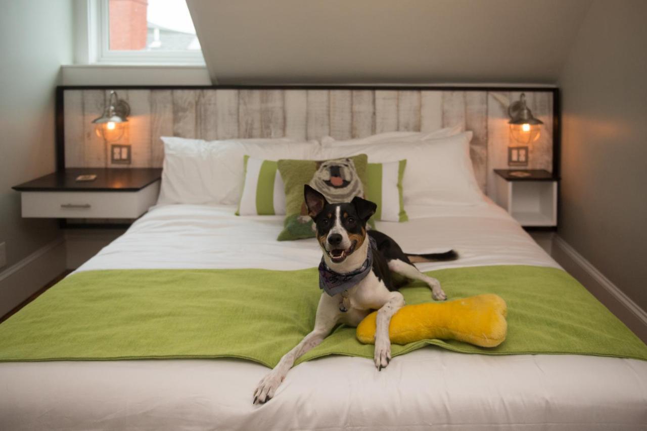 Bed & Breakfast Paws On Pelham (adults Only) Torre di Newport
